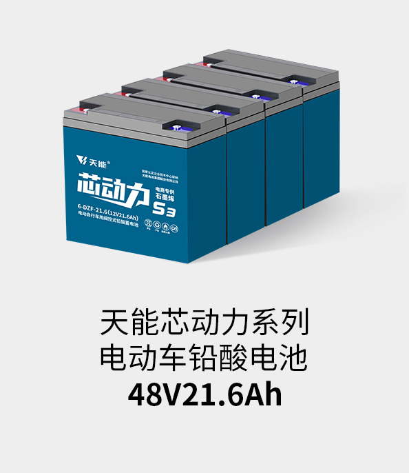 8868体育官网电池48v20ah
