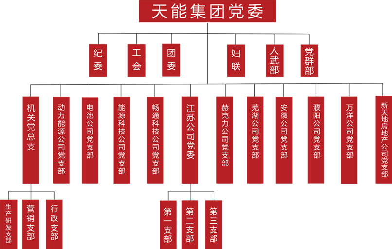 8868体育官网建团党委组织架构